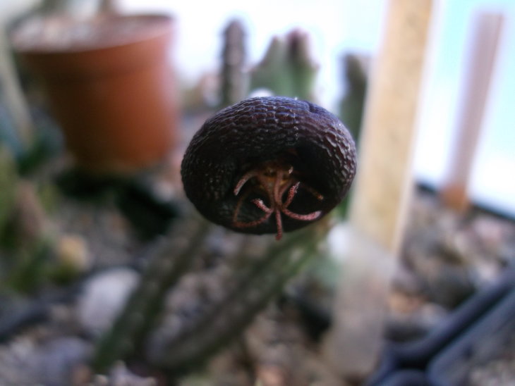 DSCF5131.JPG
