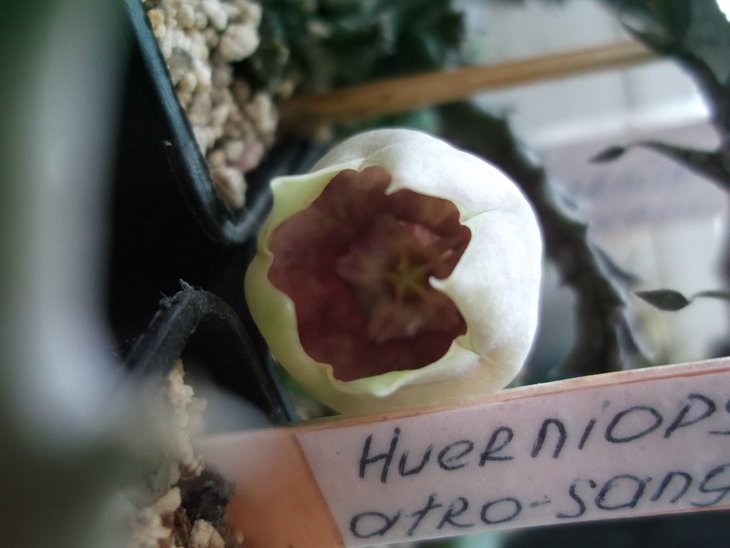 DSCF5143.JPG