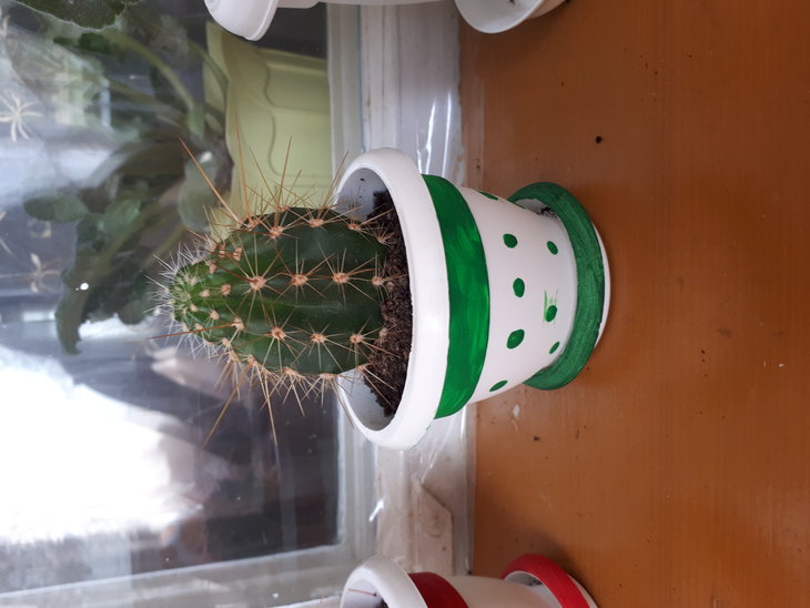 20170804_161341.jpg