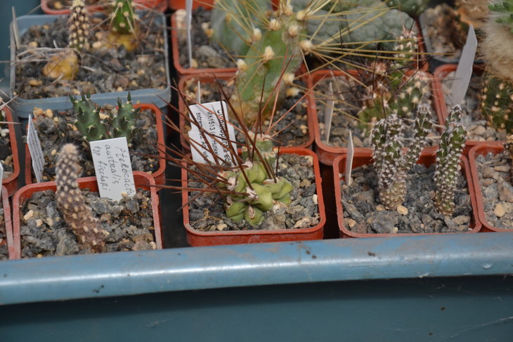 DSC_0111.JPG