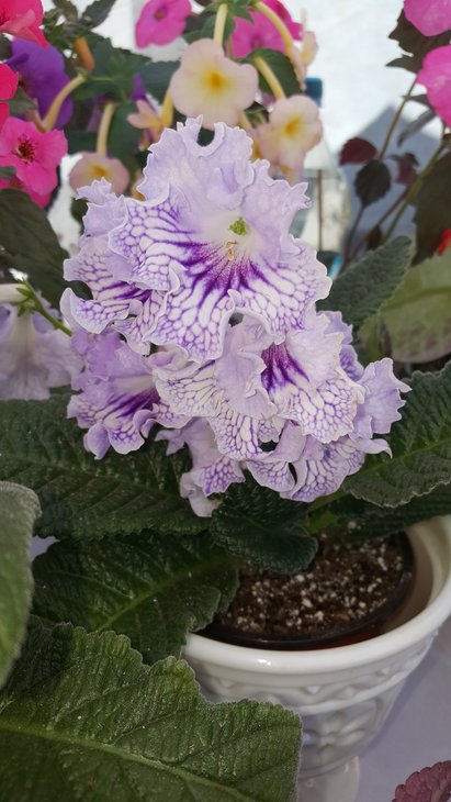 20170824_113931.jpg