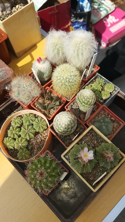 20170825_123927.jpg
