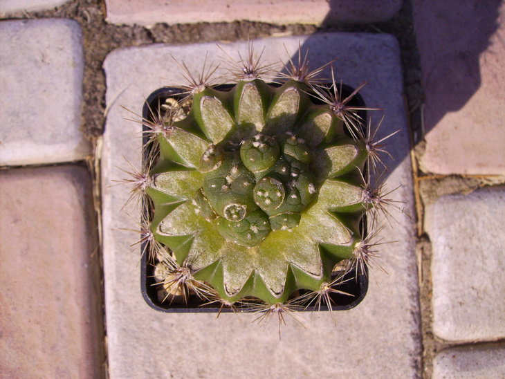 PICT0036.JPG
