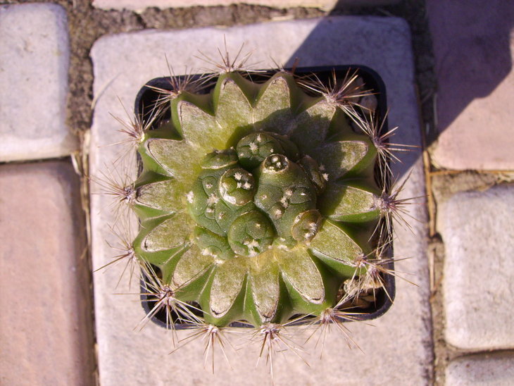 PICT0041.JPG