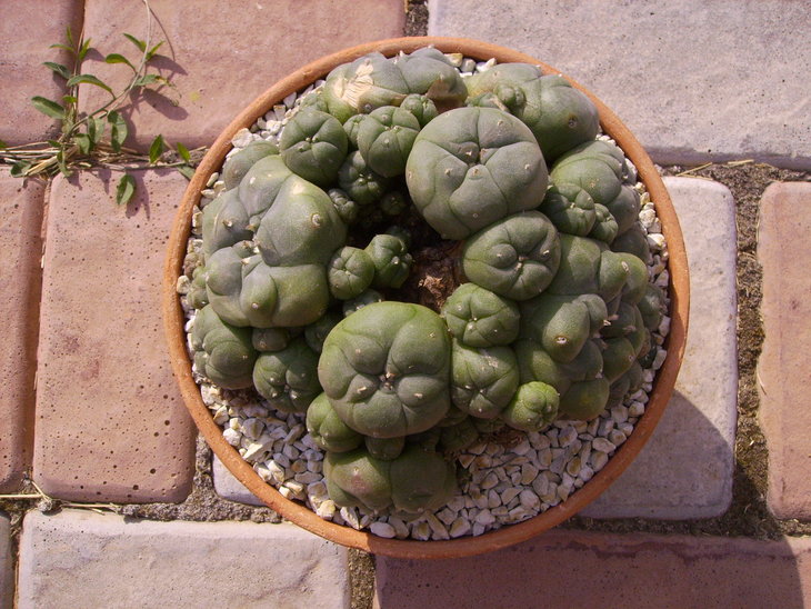 PICT0047.JPG