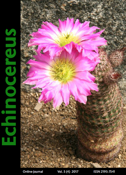 Echinocereus.png