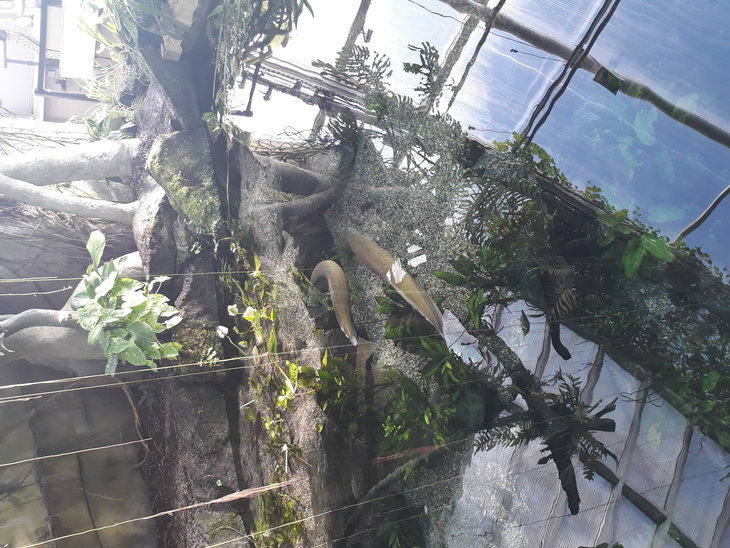 20171014_154044.jpg