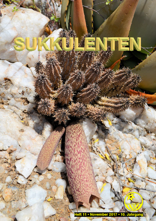 Sukkulenten_11-2017.png