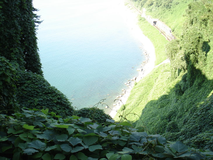 DSC00628.JPG