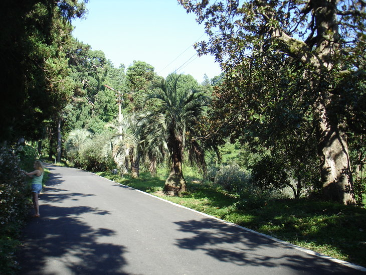DSC00641.JPG