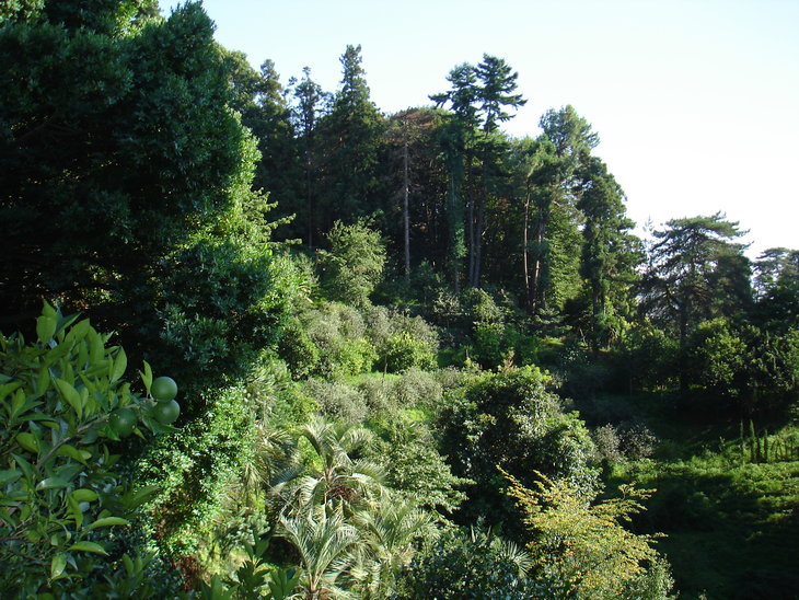 DSC00645.JPG