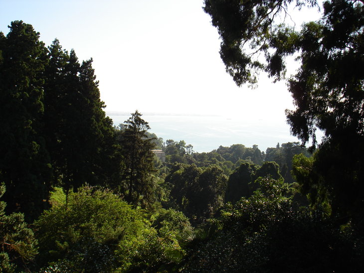DSC00646.JPG