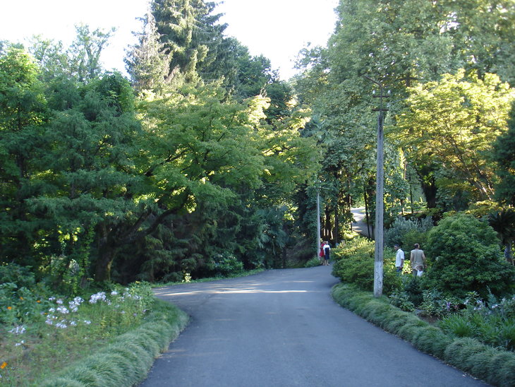DSC00665.JPG