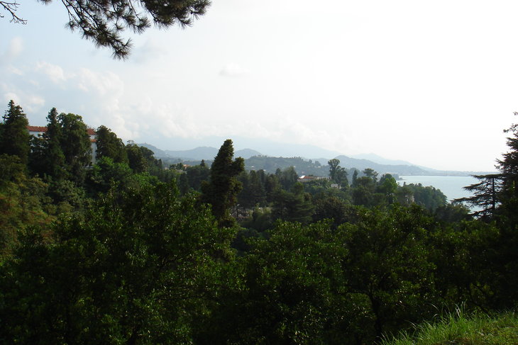 DSC02435.JPG