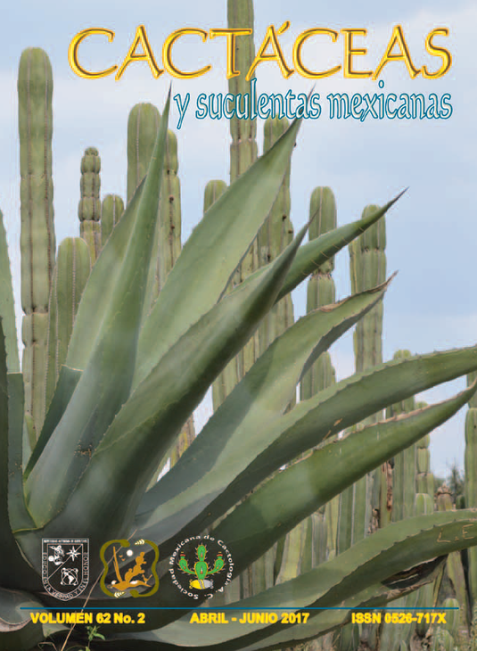 Cactaceas.png