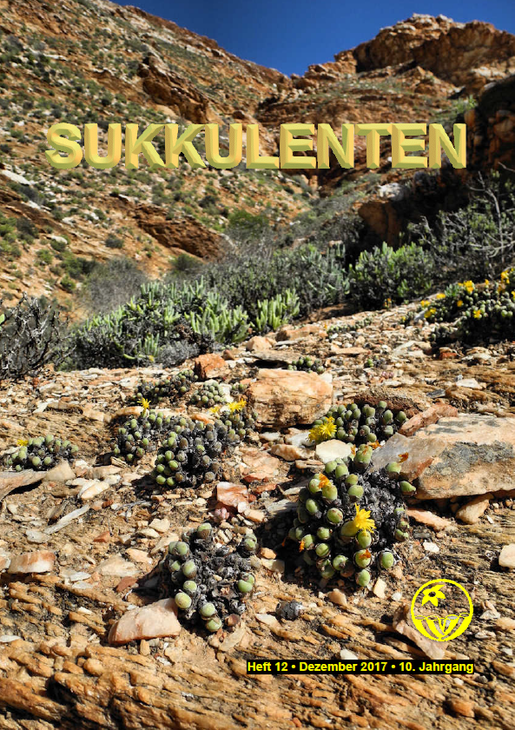 Sukkulenten.png