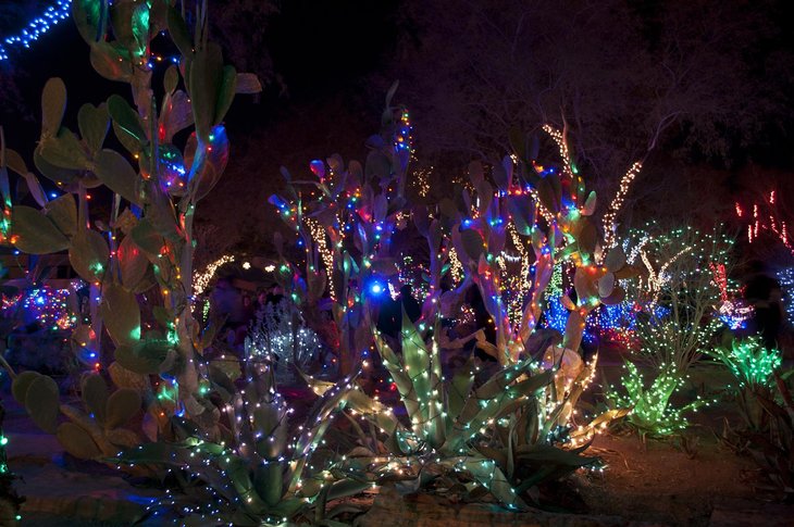 ethel-m-christmas-holiday-cactus-garden-1.jpg
