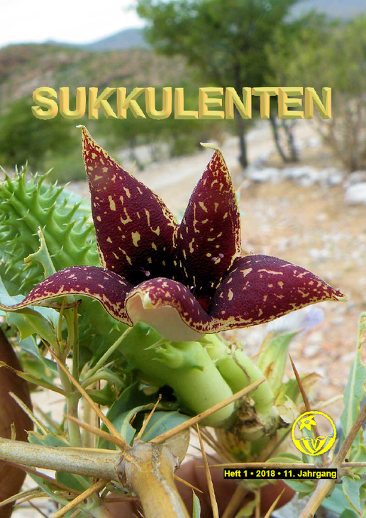 Sukkulenten.png