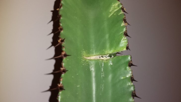 20180125_183926.jpg