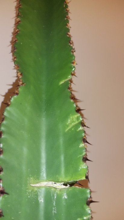 20180125_185348.jpg