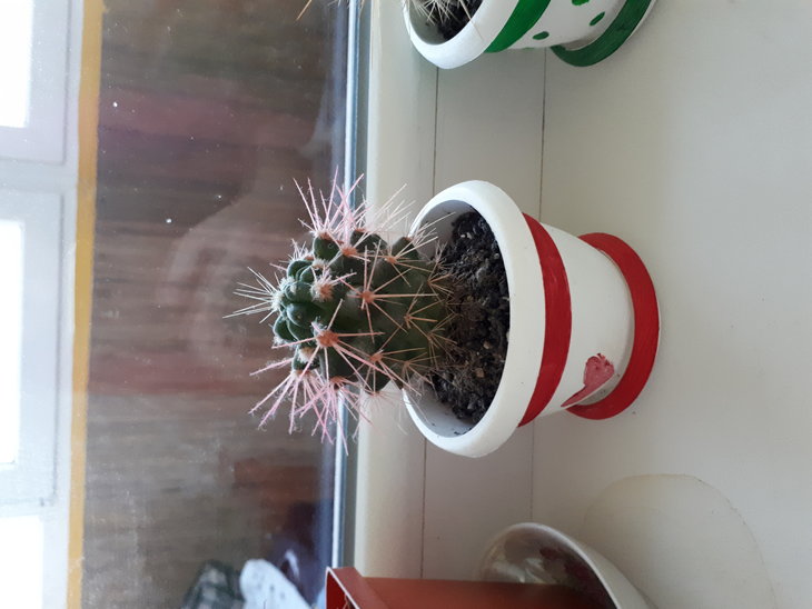 20180126_171138.jpg