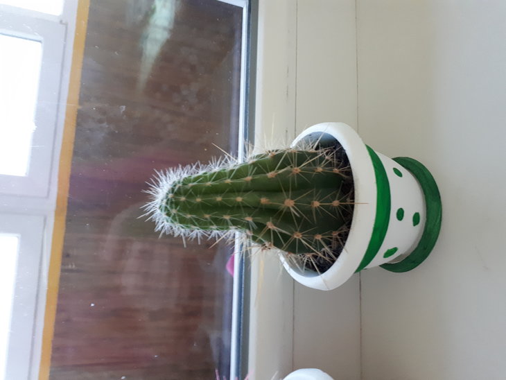 20180126_171141.jpg