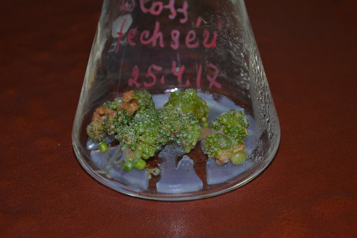 DSC_0620.JPG