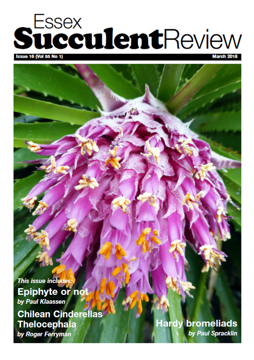 esr-march-2018.png