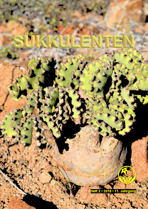 Sukkulenten.png