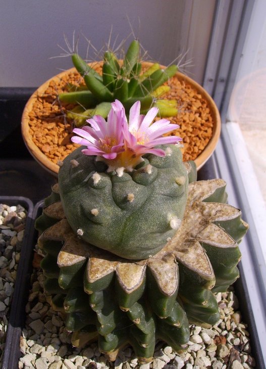 PICT0036.JPG