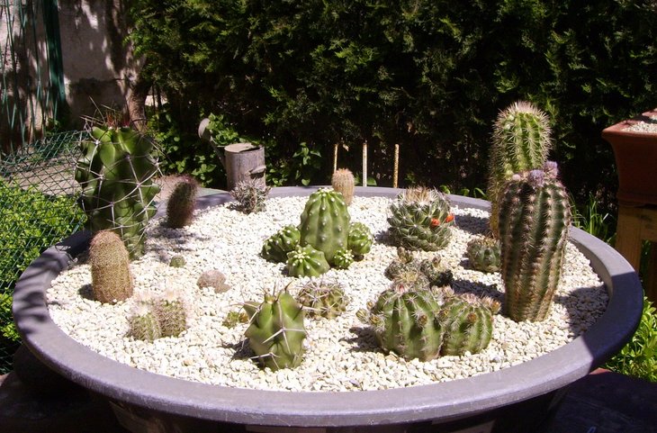 PICT0064.JPG