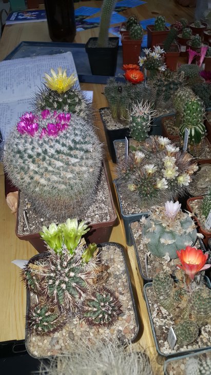 20180511_124201.jpg