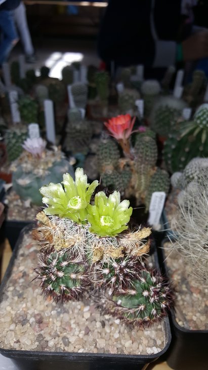 20180511_124301.jpg