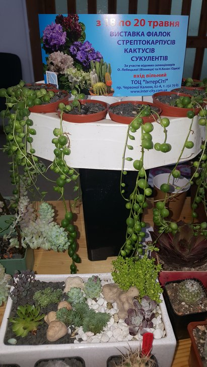 20180511_131612.jpg