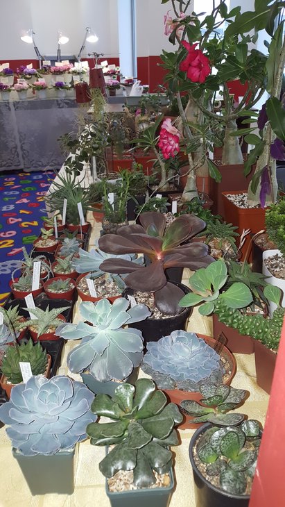 20180519_133314.jpg