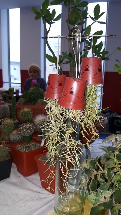 20180519_134250.jpg