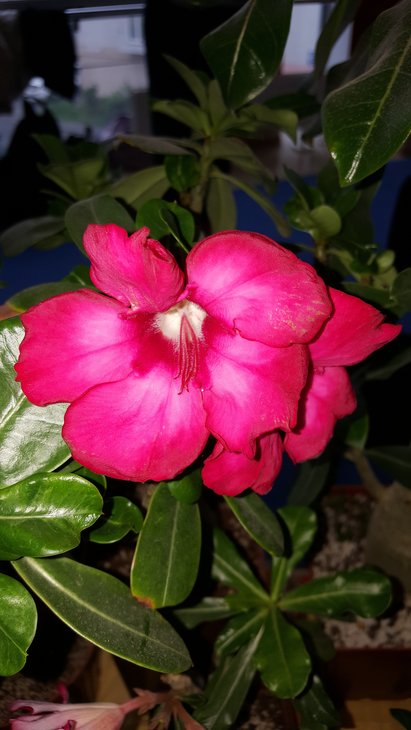 20180519_135833.jpg