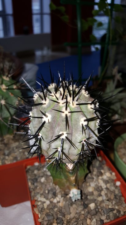 20180519_140108.jpg