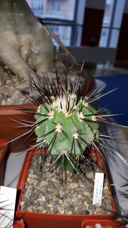 20180519_140141.jpg
