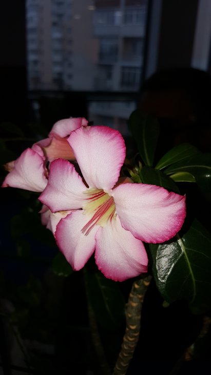 20180519_140234.jpg