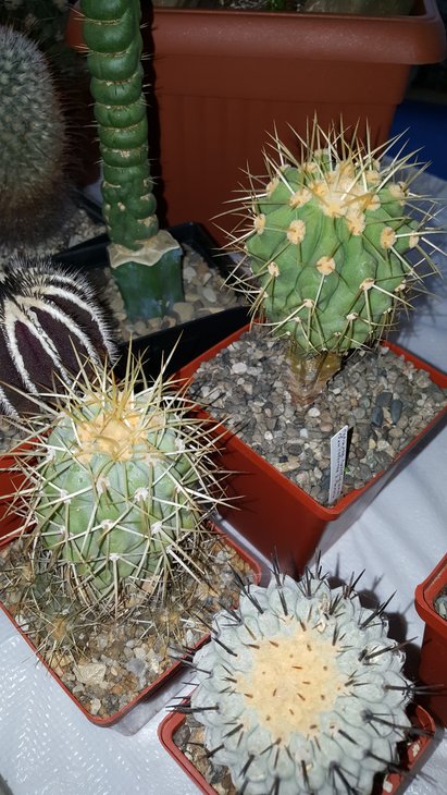 20180519_140348.jpg