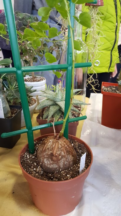20180519_142956.jpg