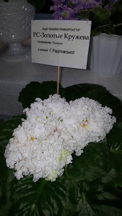 20180519_160933.jpg