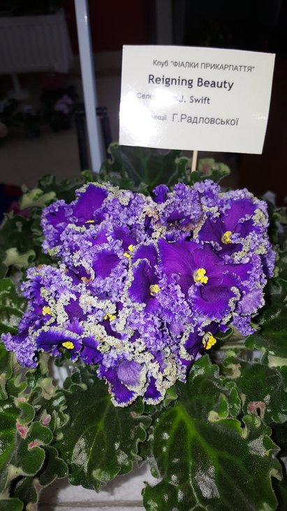 20180519_161004.jpg