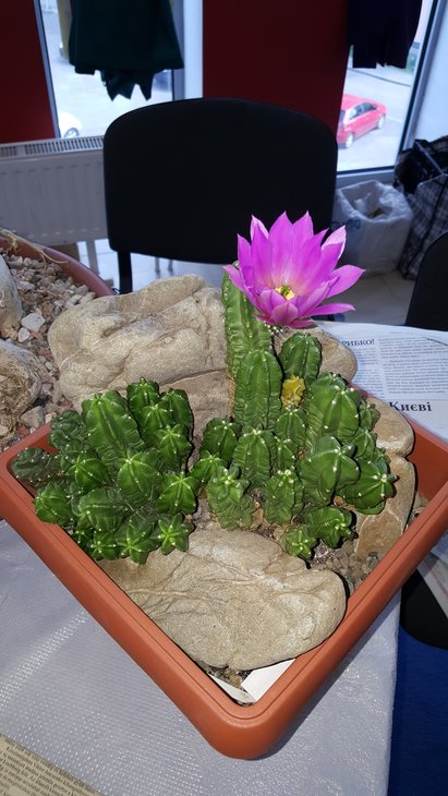 20180520_151236.jpg
