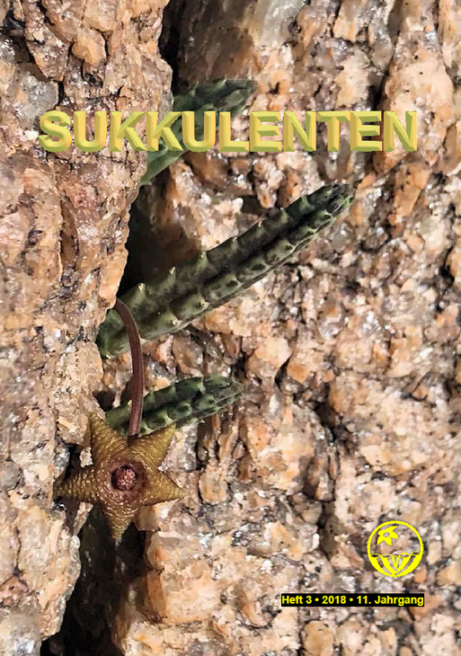 Sukkulenten.png