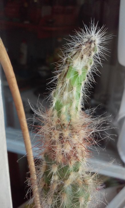 20180606_172100.jpg
