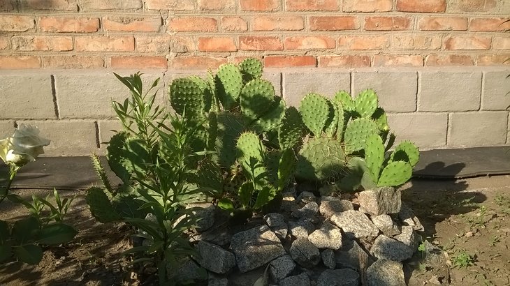 WP_20180531_17_53_28_Pro.jpg