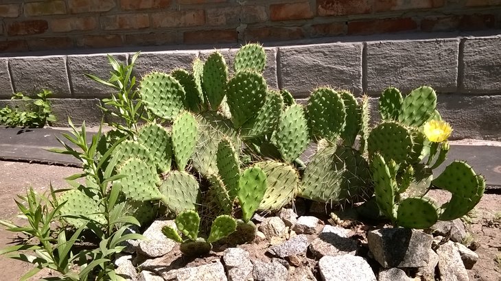 WP_20180602_11_22_46_Pro.jpg