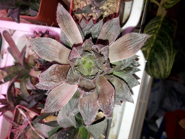 20180613_004113.jpg